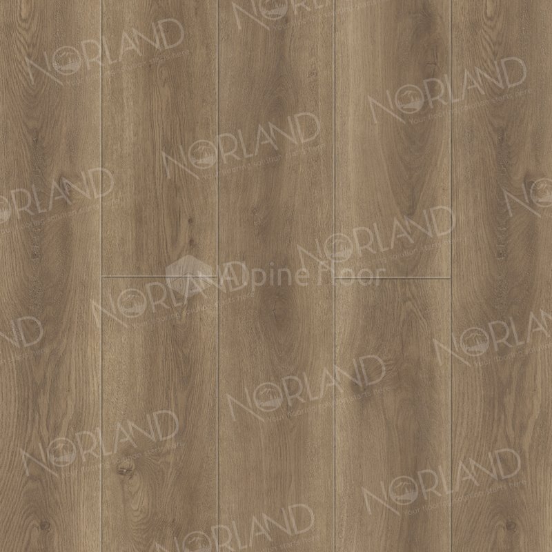 SPC Ламинат "Norland" Tista (1220*196*8 мм) — купить в Владивостоке