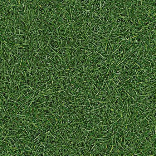 Линолеум бытовой "IVC" Neo Grass 25 (3м) — купить в Владивостоке
