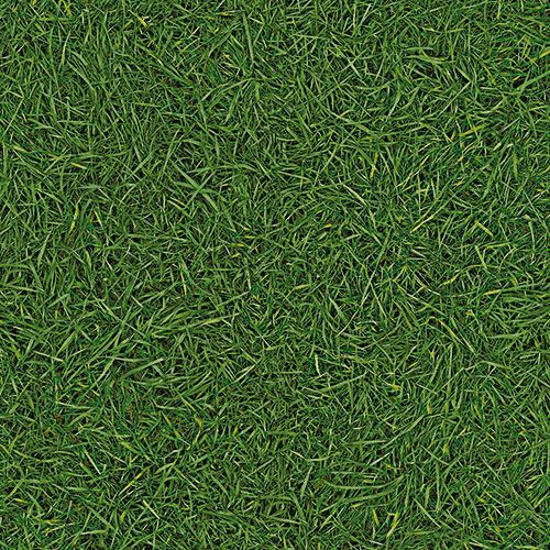 Линолеум бытовой "IVC" Bingo Grass 25 (3м) — купить в Владивостоке