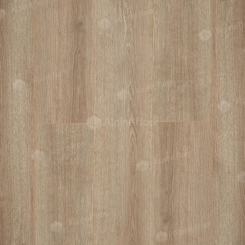 Ламинат "Camsan" Дуб Кашемир (1380*190*10 мм) — купить в Владивостоке