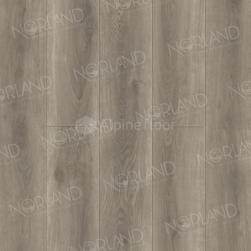 SPC Ламинат "Norland" Templet (1220*196*8 мм) — купить в Владивостоке