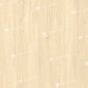 SPC Ламинат "Alpine Floor" Секвойя Калифорния (1220*183*4 мм) — фото и характеристики